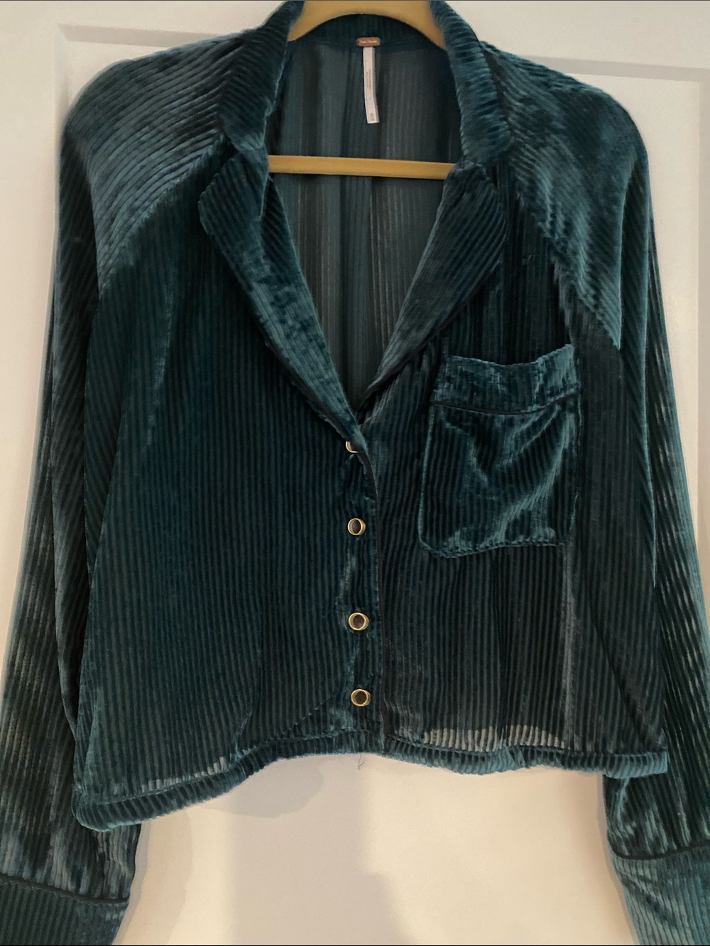 Free People Semi Sheer Corded Velvet Top. Beautiful!!